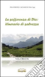 La sofferenza di Dio: itinerario di salvezza. Via crucis libro