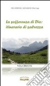 La sofferenza di Dio: itinerario di salvezza. Via crucis libro di Calvarese Simone