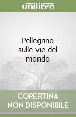 Pellegrino sulle vie del mondo libro