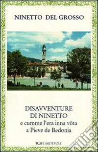 Disavventure di Ninetto libro
