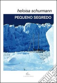 Pequeno segredo libro
