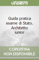 Guida pratica esame di Stato. Architetto iunior libro