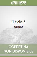 Il cielo è grigio