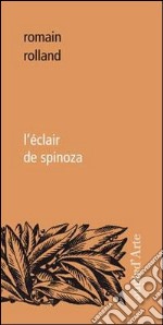 L'éclair de Spinoza libro