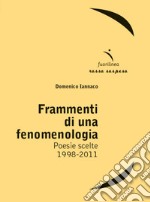 Frammenti di una fenomenologia. Poesie scelte 1998-2011