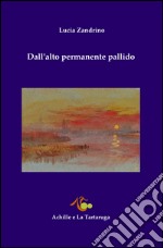 Dall'alto permanente pallido libro