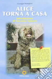 Alice torna a casa libro
