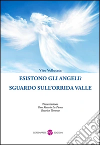 Esistono gli angeli? Sguardo sull'orrida valle libro