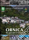 Ornica tra passato e futuro libro