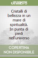 Cristalli di bellezza in un mare di spiritualità. In punta di piedi nell'universo libro