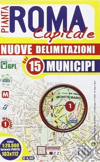 Roma capitale. Pianta