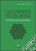 Il campo elettromagnetico nei cristalli fotonici unidimensionali. Studio alle frequenze ottiche tramite teoria dei Quasi Normal Modes