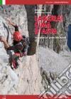 Lagorai rock. Arrampicate sul granito delle Dolomiti libro