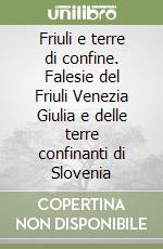 Friuli e terre di confine. Falesie del Friuli Venezia Giulia e delle terre confinanti di Slovenia libro