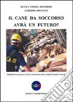 Il cane da soccorso avrà un futuro? Prospettiva dell'unità cinofila nella protezione civile libro