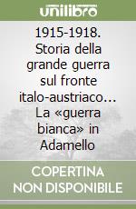 1915-1918. Storia della grande guerra sul fronte italo-austriaco... La «guerra bianca» in Adamello libro