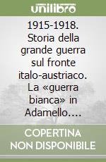 1915-1918. Storia della grande guerra sul fronte italo-austriaco. La «guerra bianca» in Adamello. Parte seconda libro