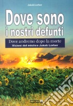 Dove sono i nostri defunti. Dove andremo dopo la morte libro