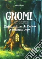 Gnomi e fantasmi. Misteri del piccolo popolo. Le entità senza corpo