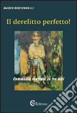 Il derelitto perfetto libro