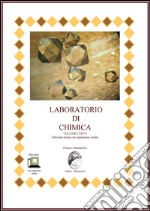 Laboratorio di chimica. Ediz. mista. Per le Scuole superiori. Con espansione online libro