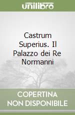 Castrum Superius. Il Palazzo dei Re Normanni
