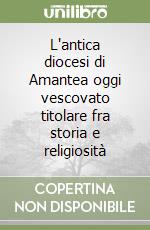 L'antica diocesi di Amantea oggi vescovato titolare fra storia e religiosità libro