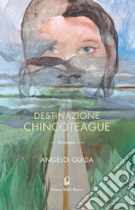 Destinazione Chincoteague libro