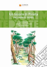 Un tesoro di Pineta nel cuore di Jesolo. Camminando con gli occhi e col cuore tra arte e fede libro