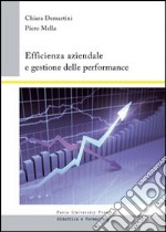 Efficienza aziendale e gestione delle performance