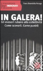 In galera! Gli evasori rubano alla collettività. Come scovarli. Come punirli libro