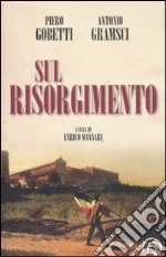 Sul Risorgimento libro