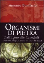 Organismi di pietra. Dall'Egitto alle cattedrali. Geometrie, energie, alchimie dei templi medievali