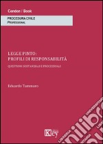 Legge Pinto. Profili di responsabilità libro