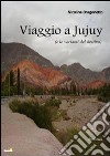 Viaggio a JuJuy (e le varianti del destino) libro