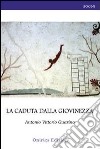 La caduta dalla giovinezza libro