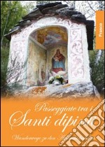 Passeggiate tra i santi dipinti. Sonogno. Ediz. illustrata