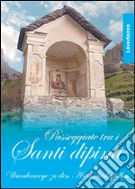 Passeggiate tra i santi dipinti. Lavertezzo. Ediz. illustrata