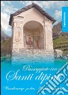 Passeggiate tra i santi dipinti. Lavertezzo. Ediz. illustrata libro