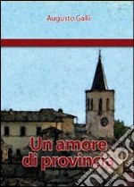 Un amore di provincia libro