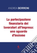 La partecipazione finanziaria dei lavoratori all'impresa: uno sguardo d'insieme libro