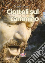 Ciottoli sul cammino libro