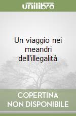 Un viaggio nei meandri dell'illegalità libro