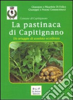 La pastinaca di Capitignano. Un prodotto di assoluta eccellenza libro