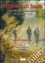 Altipiani di fuoco. La Strafexpedition austriaca del giugno 1916 libro