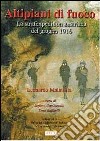 Altipiani di fuoco. La Strafexpedition austriaca del giugno 1916 libro