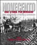 Novecento padovano. Una storia per immagini. Ediz. illustrata. Vol. 4: I campi e il sogno industriale