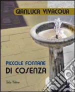 Piccole fontane di Cosenza libro