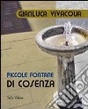 Piccole fontane di Cosenza libro