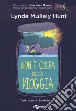 Non è colpa della pioggia libro